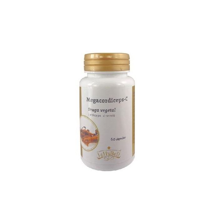 Megacordiceps-C