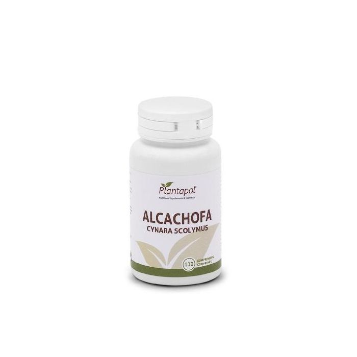 Alcachofa