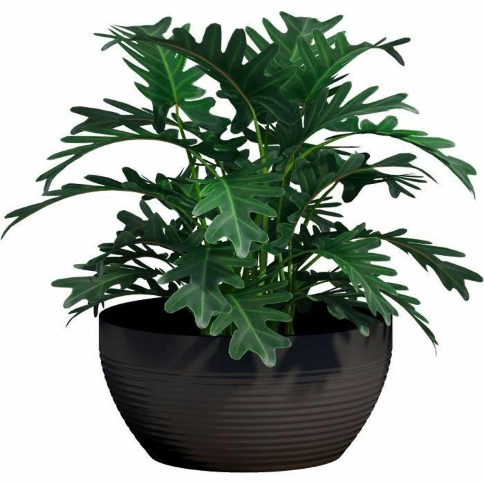 Maceta Garden ID Negro 35 x 16 cm 1