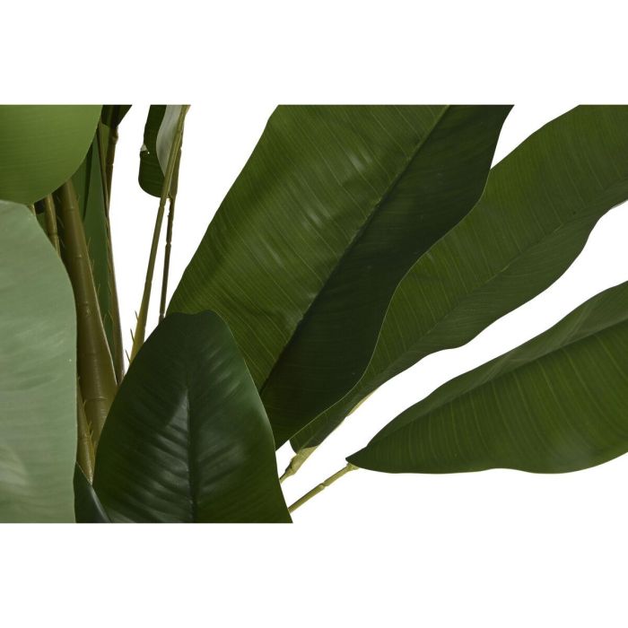 Planta Terraza Y Jardin DKD Home Decor Verde 90 x 290 x 90 cm 2 Planta Terraza Y Jardin DKD Home Decor Verde 90 x 290 x 90 cm 2