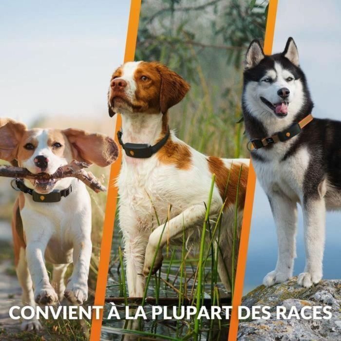 Weenect WEE3770000300789 Collar GPS para Perros Dog XT Resistente al Agua Antena XL Naranja con Suscripción Incluye Collar Julius-K9 1 Weenect WEE3770000300789 Collar GPS para Perros Dog XT Resistente al Agua Antena XL Naranja con Suscripción Incluye Collar Julius-K9 1