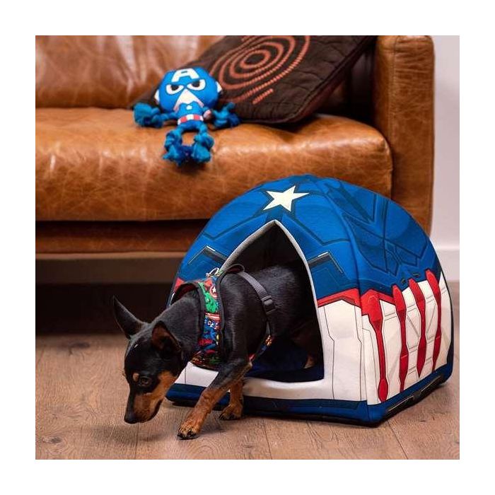 Cerdá Cuerda dental para perro Capitán América Avengers 13x10x20 cm azul 2 Cerdá Cuerda dental para perro Capitán América Avengers 13x10x20 cm azul 2