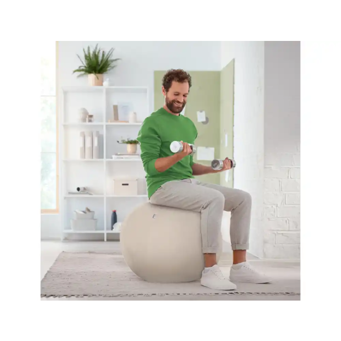 Silla De Balon Leitz Active Ergo Ø65Cm Antideslizante Gris 7 Silla De Balon Leitz Active Ergo Ø65Cm Antideslizante Gris 7