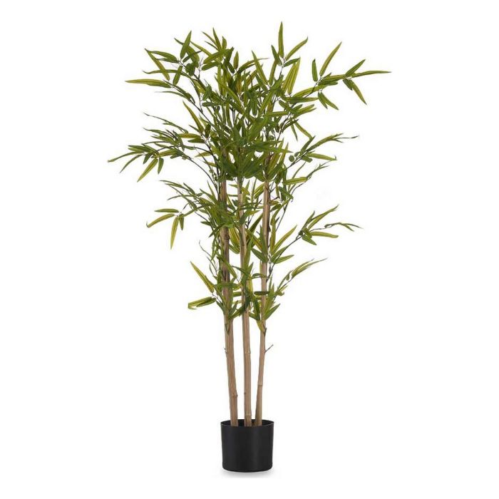 Planta con Maceta Bambú Pequeño 120 cm Ibergarden - Verde, 70x70x120 cm Planta con Maceta Bambú Pequeño 120 cm Ibergarden - Verde, 70x70x120 cm