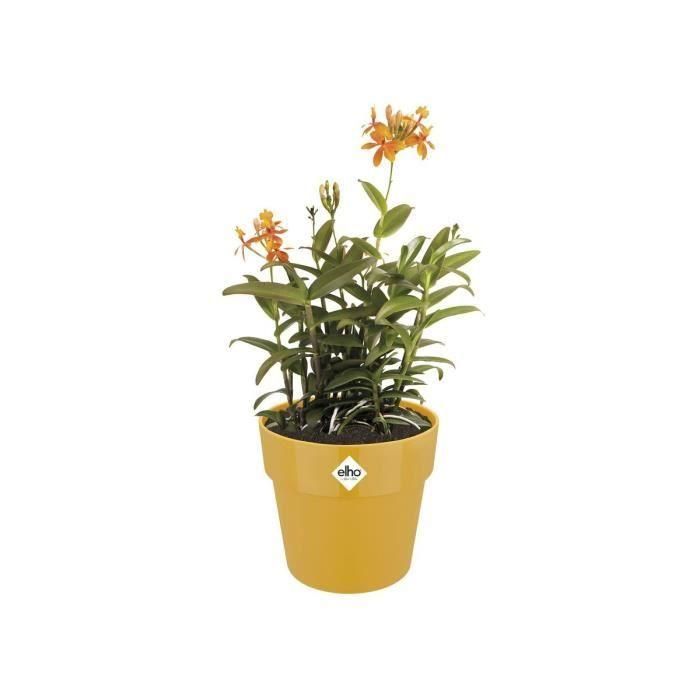 Elho B.for Original Round 30 Maceta Redonda Ocre para Plantas de Interior Ø29.5cm, 13.1L Polipropileno 1
