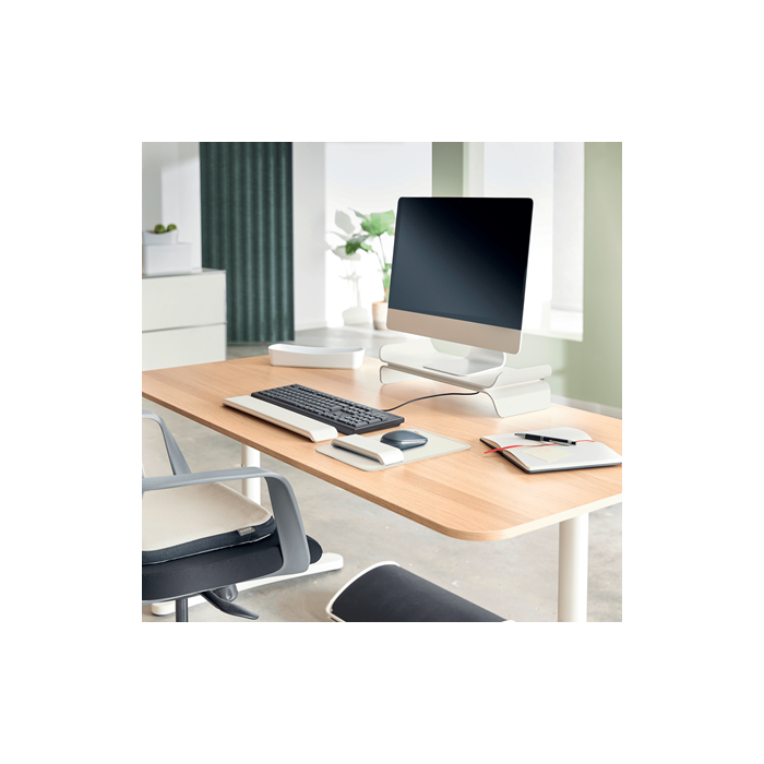 Leitz Soporte Elevador Monitor Ajustable Ergo Gris 65040085 2