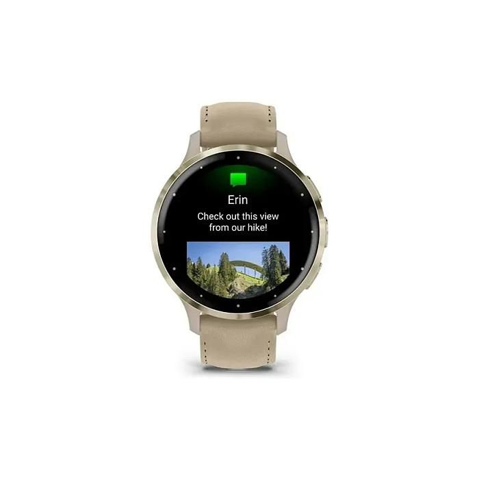 Garmin Venu 3S 41mm french gray softgold 3