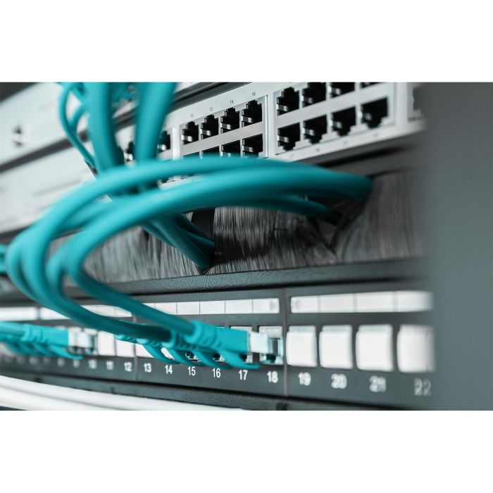 Digitus Panel de Gestión de Cables con Cepillo Abierto 1U, para Armario Rack de Red/Servidor 19 pulgadas, Negro RAL 9005 3