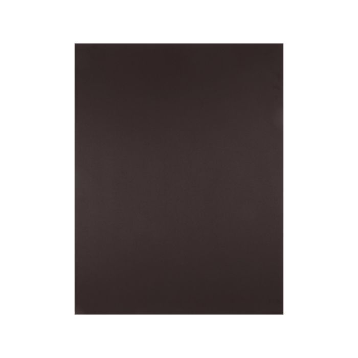 Liderpapel Cartulina 50x65 cm 180 gr Marron Unidad para Dibujo y Manualidades 1