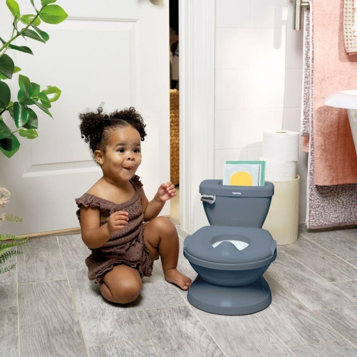 Orinal Ingenuity Gris 11 Orinal Ingenuity Gris 11