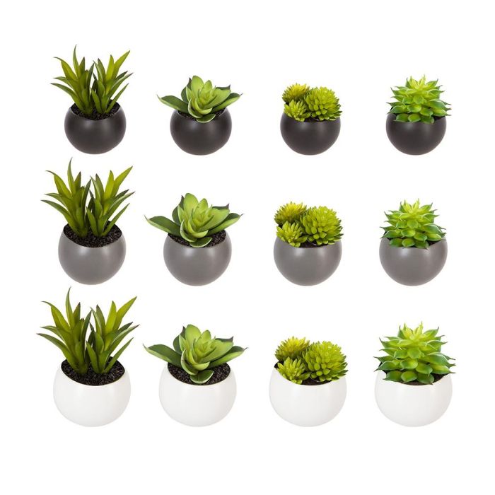 Mini plantas decorativas con iman modelos surtidos 6cm 2