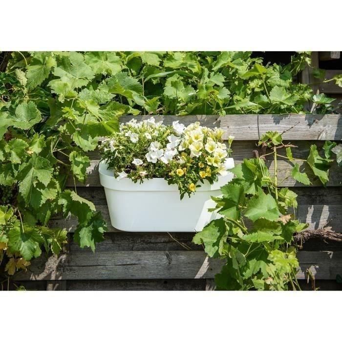Jardinera+gancho - GARDEN ID Star - Blanco 50 x 21 cm - Fácil fijación - Reserva de agua - Reciclado y 100% reciclable 1 Jardinera+gancho - GARDEN ID Star - Blanco 50 x 21 cm - Fácil fijación - Reserva de agua - Reciclado y 100% reciclable 1