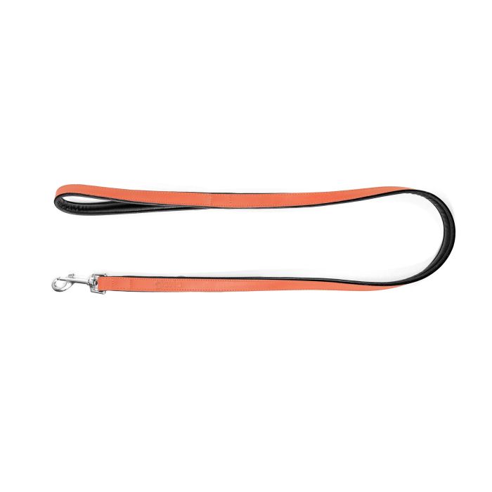 Gloria Correa Piel Auténtica Acolchada para Perro 100 cm x 18 mm, Suave, Mosquetón Robusto Retráctil, 3 Capas, Cosido Reforzado 2