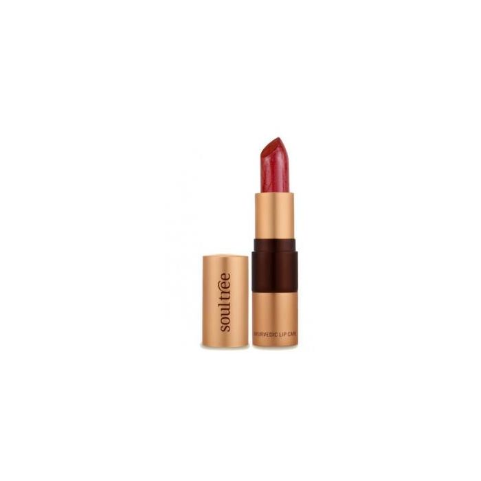 SOULTREE 5810 Barra de Labios Java Brown 4g Ayurveda con Manteca Clarificada y Aceite de Almendras Dulces 100% Natural