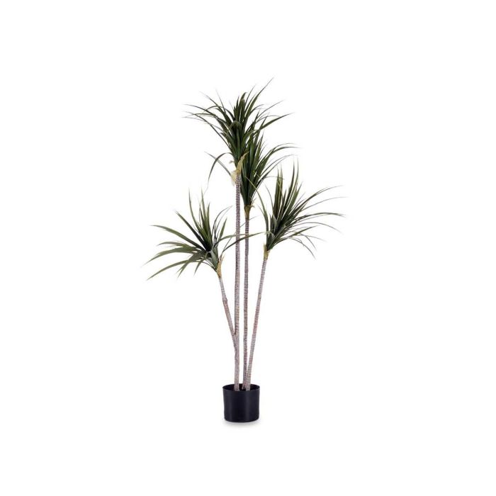 Ibergarden Planta con Maceta Hoja Estrecha Pequeña 140 cm (Al) x 80 cm (An) x 85 cm (La) Ibergarden Planta con Maceta Hoja Estrecha Pequeña 140 cm (Al) x 80 cm (An) x 85 cm (La)