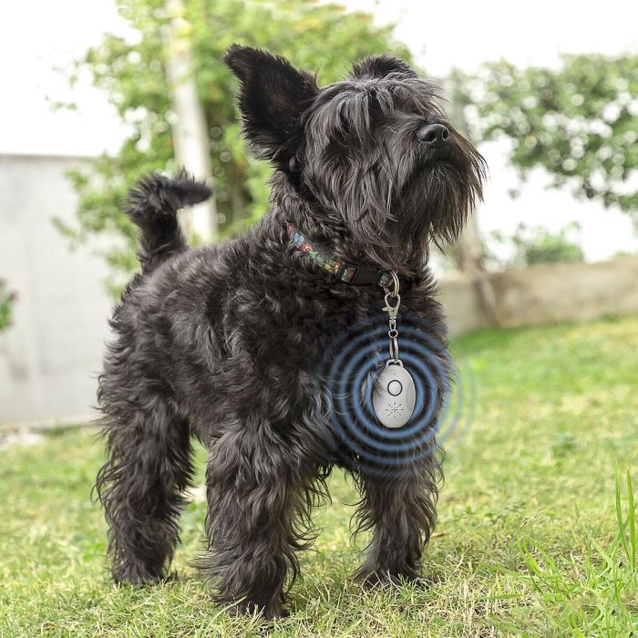Antiparásitos por Ultrasonidos Recargable para Mascotas PetRep InnovaGoods 9 Antiparásitos por Ultrasonidos Recargable para Mascotas PetRep InnovaGoods 9