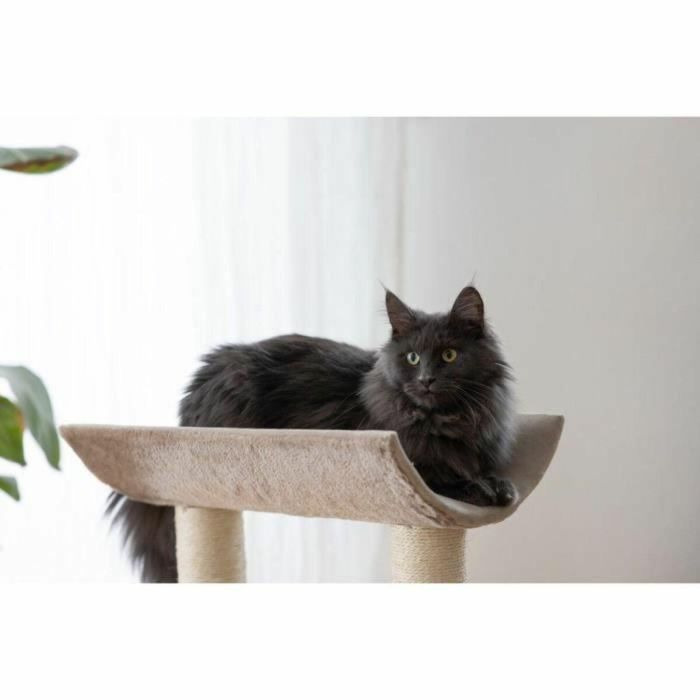 Kerbl Árbol para gatos con ambiente topo 49 x 35 x 56 cm Sisal 2
