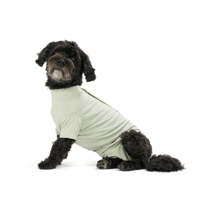 Body Suit Para Perro Buster Step Go Verde XL 1 Unidad Bambu