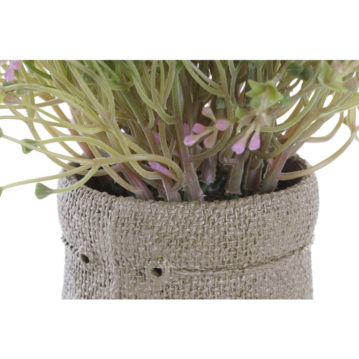 Planta DKD Home Decor Blanco Marron 20 x 19 x 20 cm (4 Unidades) 2