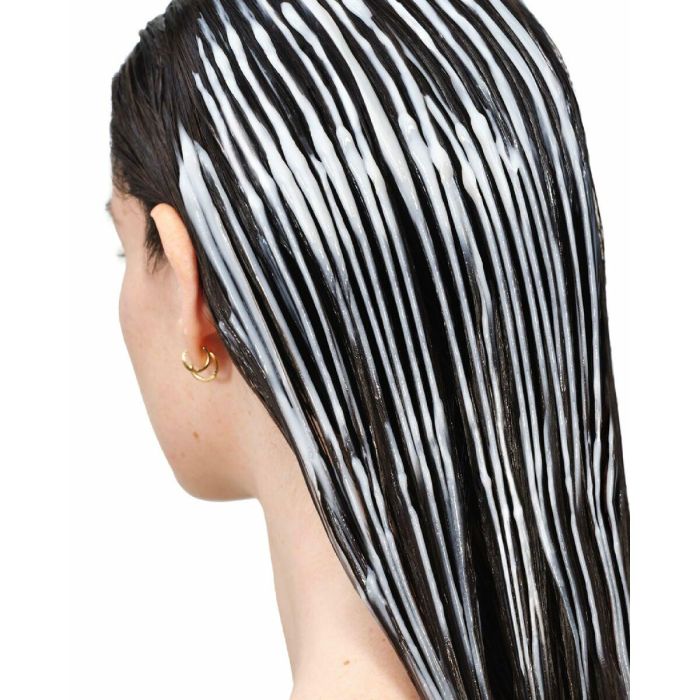 Phyto Color Mascarilla De Extensión De Color 2 Phyto Color Mascarilla De Extensión De Color 2