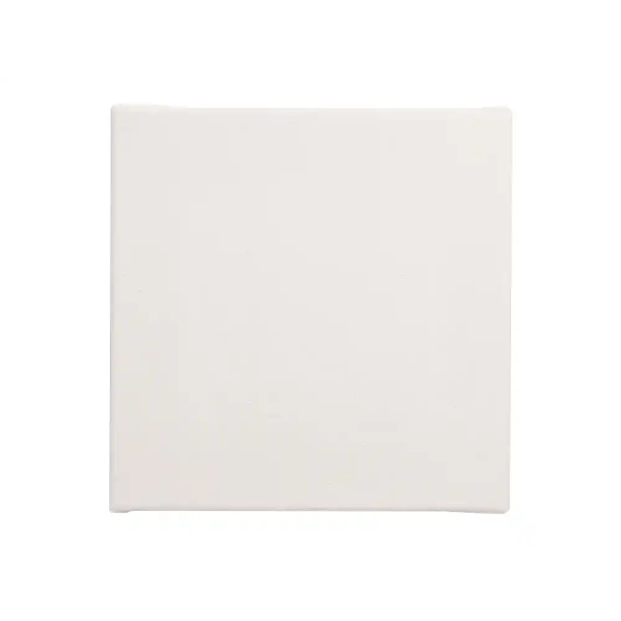 Liderpapel Lienzo de Algodón 100% Grapado Trasero 30x30 cm 280 g/m² para Óleo y Acrílico 1