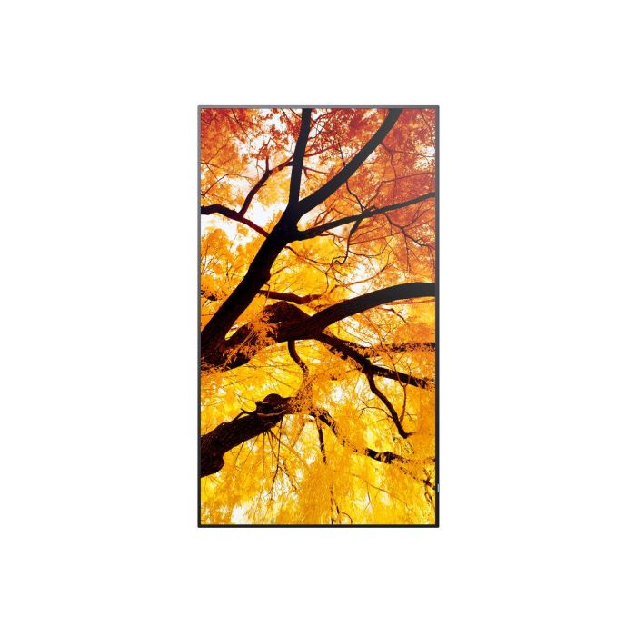 Monitor Videowall Sharp 60006052 Full HD 32" 4