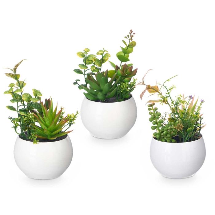 Ibergarden Maceta Redonda Plástico Blanca 8x16x8 cm (24 Unidades) 2 Ibergarden Maceta Redonda Plástico Blanca 8x16x8 cm (24 Unidades) 2