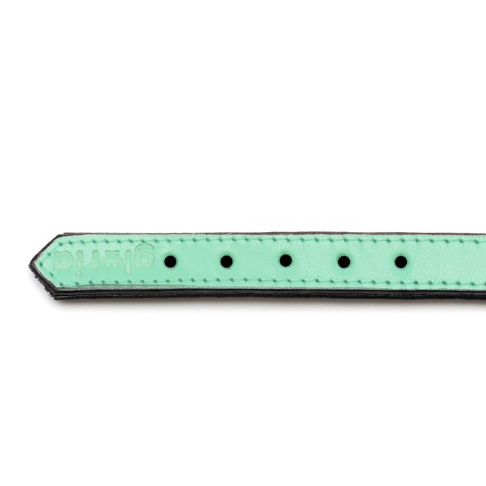 Gloria Collar Perro Piel Auténtica Acolchado Triple Capa Suave Mullido Verde 45 cm x 20 mm. Máxima Comodidad Anti-Tirones 0 Gloria Collar Perro Piel Auténtica Acolchado Triple Capa Suave Mullido Verde 45 cm x 20 mm. Máxima Comodidad Anti-Tirones 0