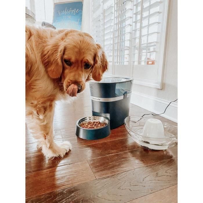 Dispensador de 12 comidas conectado PETSAFE Smartfeed - Para perros y gatos 3 Dispensador de 12 comidas conectado PETSAFE Smartfeed - Para perros y gatos 3