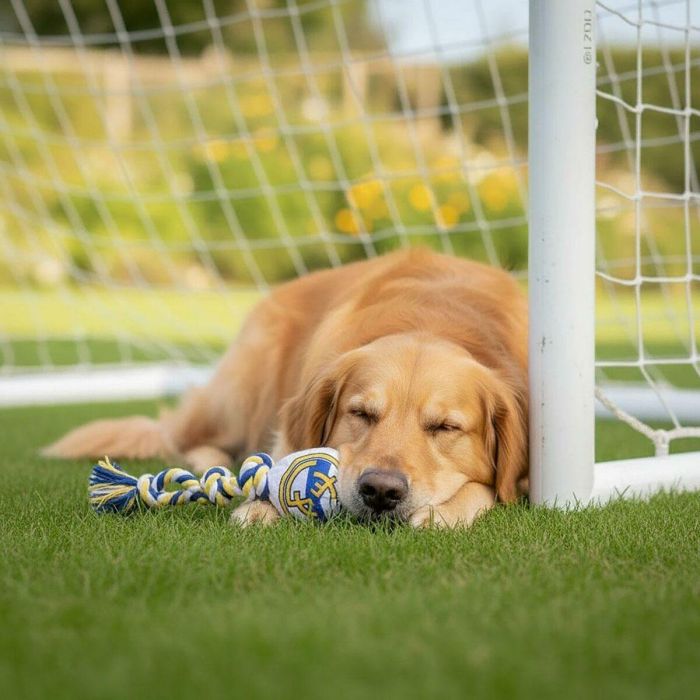 Cerdá Juguete de Cuerda para Perro | Licencia Oficial Real Madrid | Accesorios para Mascotas | Ideal para Masticar y Jugar | Blanco | 15x33x10 cm 7