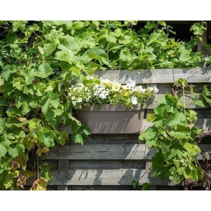 Jardinera+gancho - GARDEN ID Star - Taupe 50 x 21 cm - Fácil fijación - Reserva de agua - Reciclado y 100% reciclable 2 Jardinera+gancho - GARDEN ID Star - Taupe 50 x 21 cm - Fácil fijación - Reserva de agua - Reciclado y 100% reciclable 2