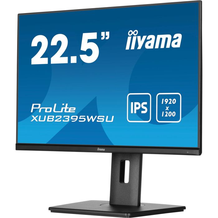 iiyama Monitor ProLite XUB2395WSU-B5 22.5" WUXGA 1920x1200 16:10 IPS 4ms Negro 10