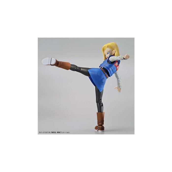 Figure - Rise Standard Android 18 Pkg Renewal 1 Figure - Rise Standard Android 18 Pkg Renewal 1