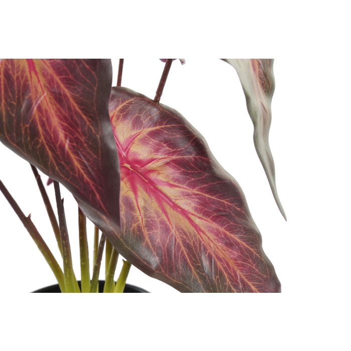 DKD Home Decor Planta Artificial Decorativa de Polietileno (PE) para Interior Rojo Burdeos 20x20x38 cm - Pack 6 Unidades 1 DKD Home Decor Planta Artificial Decorativa de Polietileno (PE) para Interior Rojo Burdeos 20x20x38 cm - Pack 6 Unidades 1