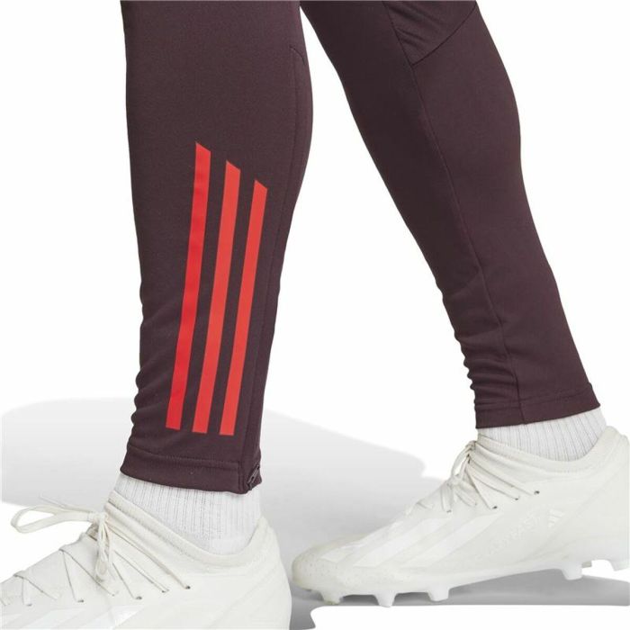 Pantalón Largo Deportivo Adidas Fc Bayern 24/25 Tiro24 Marrón Granate Hombre 1