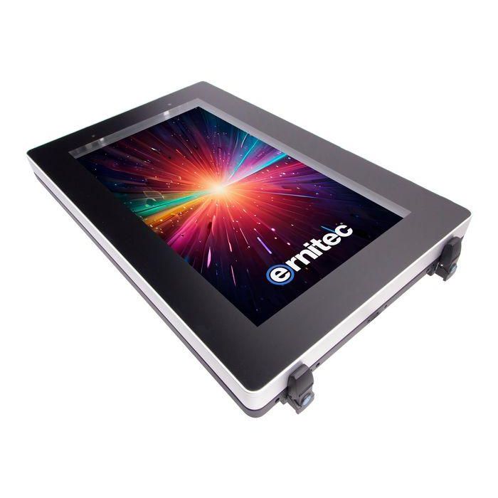 Ernitec Monitor 65" 4K UHD Antivandálico IP67/IK10 Agua, Exterior, para Piscinas Públicas con Soporte Pared