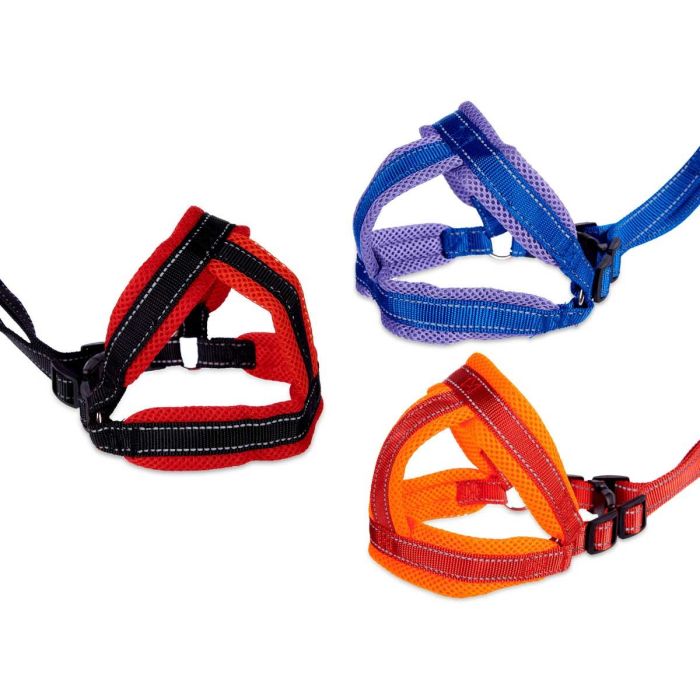 Arnés con correa mediano Mascow - 8x86x17 cm, colores surtidos (12 Unidades) 3 Arnés con correa mediano Mascow - 8x86x17 cm, colores surtidos (12 Unidades) 3