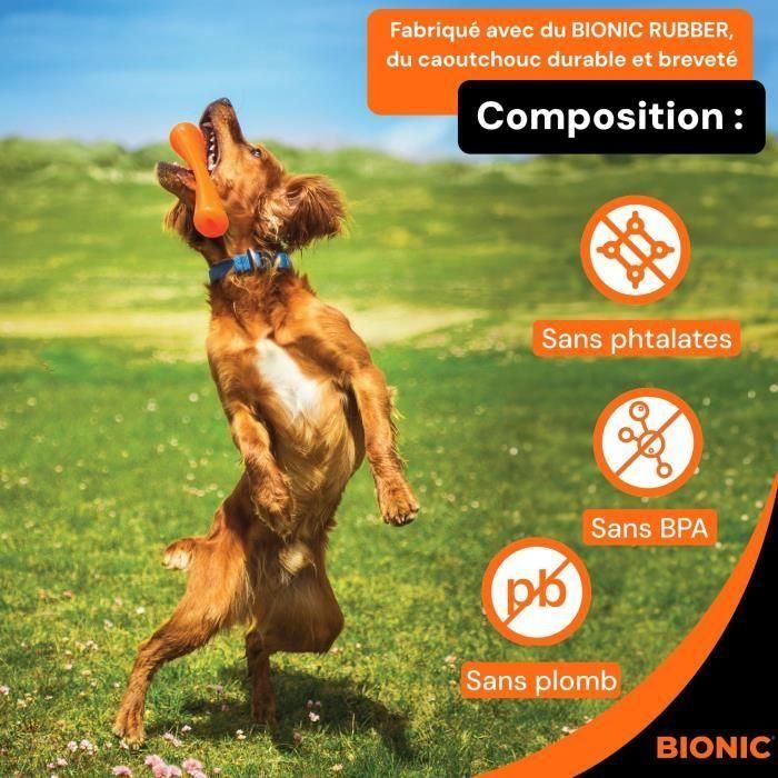 Juguete para perros - BIONIC - Urban stick - Tamaño Mediano 23 cm - Fabricado en caucho ultra resistente - libre de plomo, BPA y ftalatos 3 Juguete para perros - BIONIC - Urban stick - Tamaño Mediano 23 cm - Fabricado en caucho ultra resistente - libre de plomo, BPA y ftalatos 3