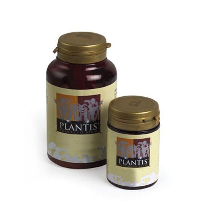 Plantis Extracto Seco Ginkgo Biloba para la Circulación Vascular Cerebral 120 Cápsulas