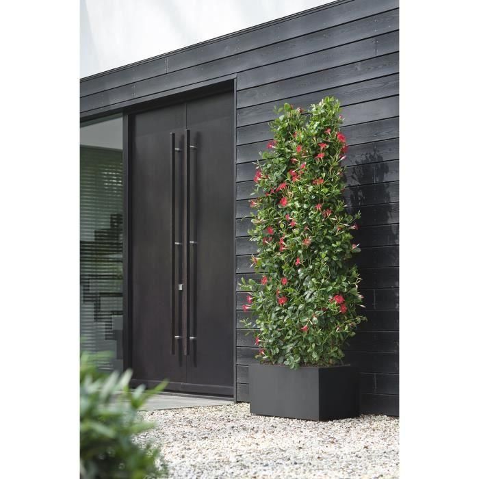 Jardinera Elho Vivo Next Long 80 - Negro - L 78 x B 39 x H 38 cm - interior/exterior - 100% reciclado 3