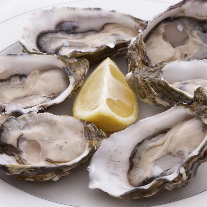 Cook Concept Table En Fête Kit 5 Piezas Para Ostras: Cuchillo y 5 Tenedores en Caja Elegante 4 Cook Concept Table En Fête Kit 5 Piezas Para Ostras: Cuchillo y 5 Tenedores en Caja Elegante 4