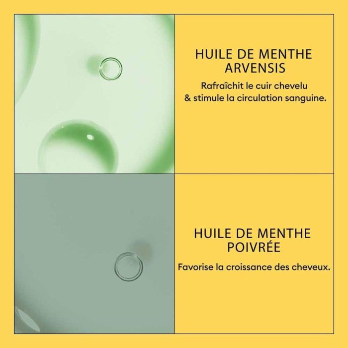 Champú + Acondicionador Nioxin 4