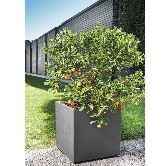 Maceta Cubo - DEROMA - Millennium R - Antracita - Con reserva de agua - Ruedas - 49 cm 4 Maceta Cubo - DEROMA - Millennium R - Antracita - Con reserva de agua - Ruedas - 49 cm 4