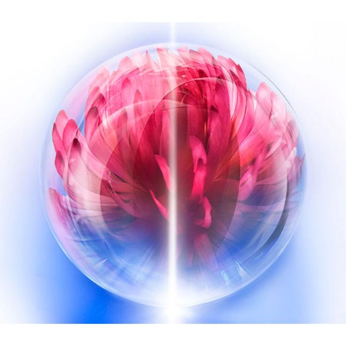 Shiseido BIO-PERFORMANCE SKIN HIFORCE Crema Recarga 50 ml Shiseido BIO-PERFORMANCE SKIN HIFORCE Crema Recarga 50 ml