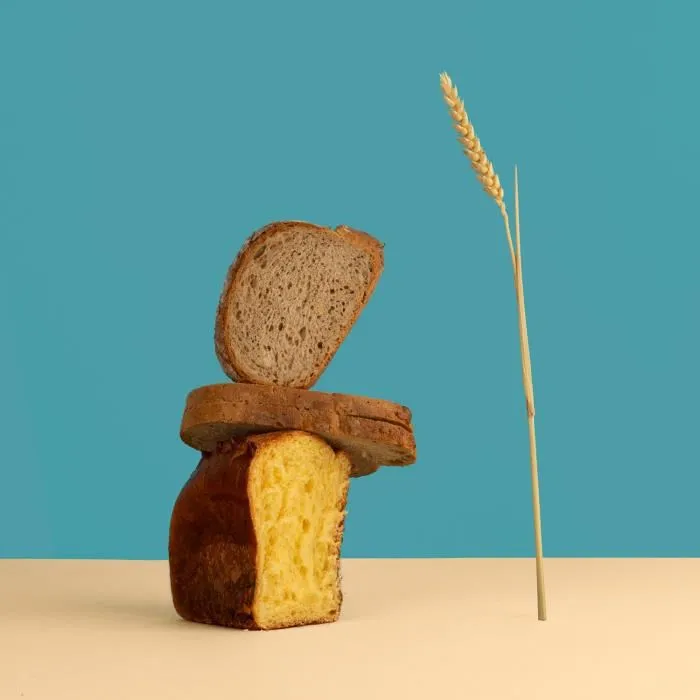 H.Koenig BAKE340 - Máquina para hacer pan con dispensador de semillas, 12 programas, 3 niveles de cocción, 550W, 2 tamaños (650/800g), Pantalla LCD 5