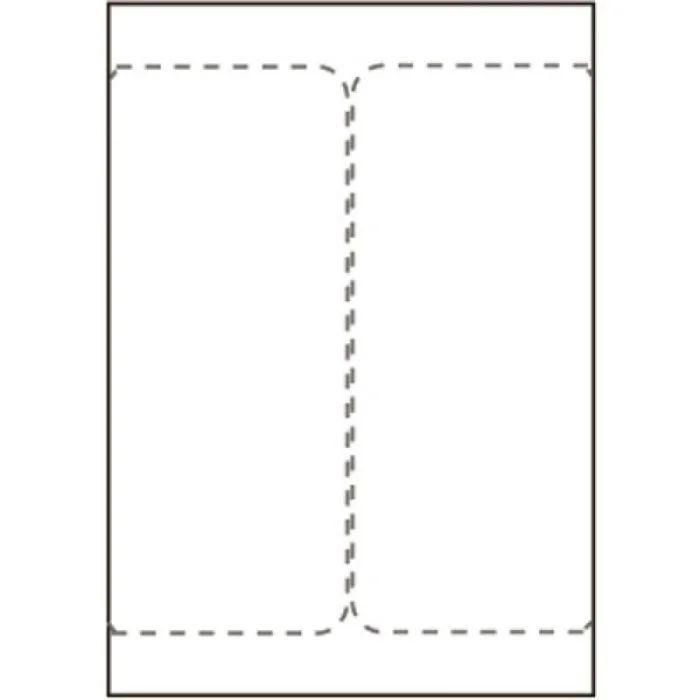 Capture Etiqueta de envío 105x220 mm. 2 etiquetas/hoja, 500 hojas/caja. Para impresoras láser/inkjet, ideal DHL, UPS, DB Schenker