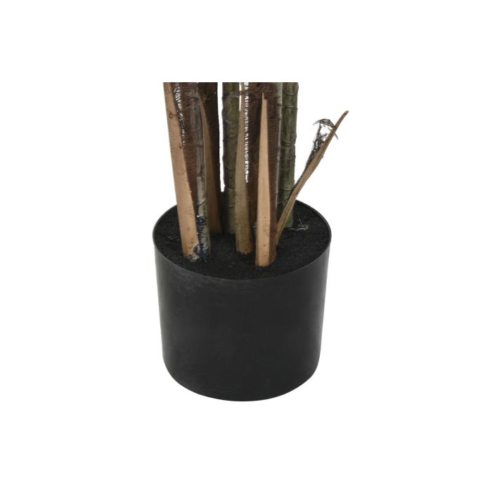Planta DKD Home Decor Verde 60 x 165 x 60 cm (2 Unidades) 2 Planta DKD Home Decor Verde 60 x 165 x 60 cm (2 Unidades) 2