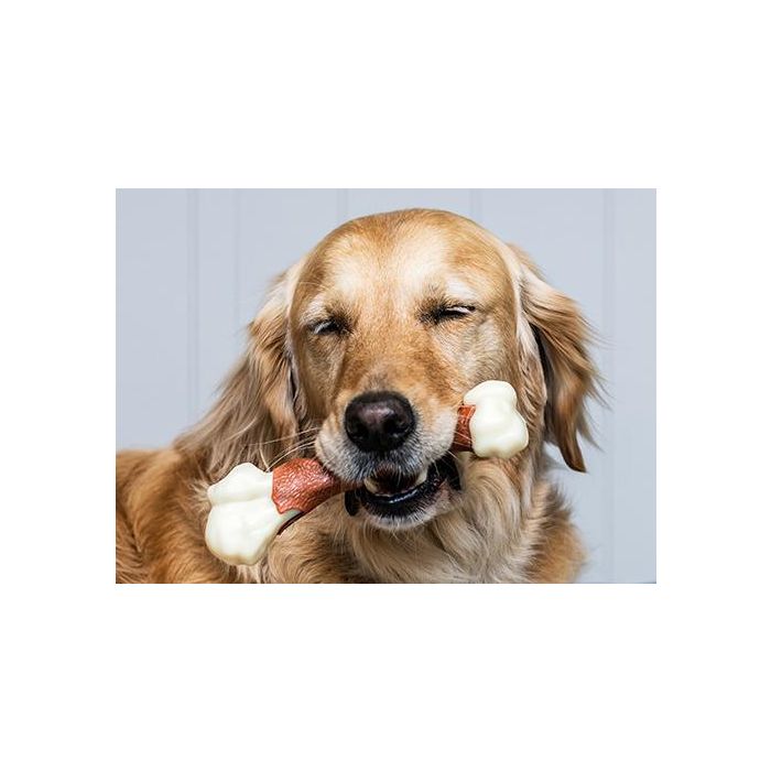 Nylabone Extreme Chew Hueso Fémur Masticable para Perros XL Sabor Ternera Nylon Duradero con Limpieza Dental para Masticadores Potentes 1 Nylabone Extreme Chew Hueso Fémur Masticable para Perros XL Sabor Ternera Nylon Duradero con Limpieza Dental para Masticadores Potentes 1