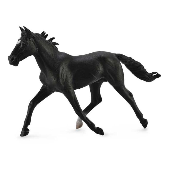 Semental Pacer De Raza Estándar - Negro - Xl - 88645 - Colle Semental Pacer De Raza Estándar - Negro - Xl - 88645 - Colle