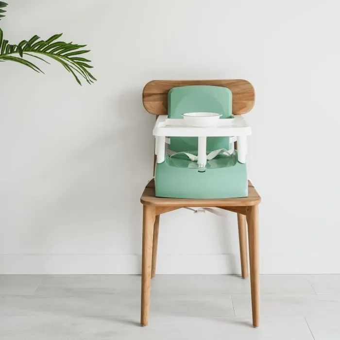 Thermobaby Asiento Elevador Gusto 2 en 1 Verde Salvia Escalable y Transportable para Bebé 2